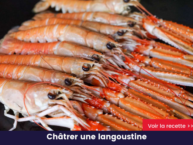 Châtrer une langoustine